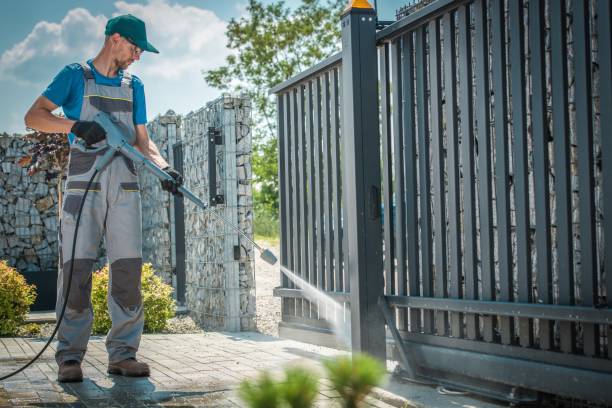 Best Gutter Cleaning  in Painesville, OH
