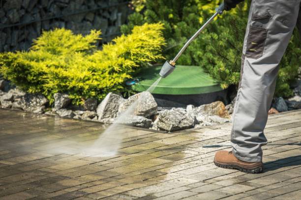 Best Sidewalk and Walkway Cleaning  in Painesville, OH