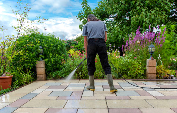 Best Driveway Pressure Washing  in Painesville, OH